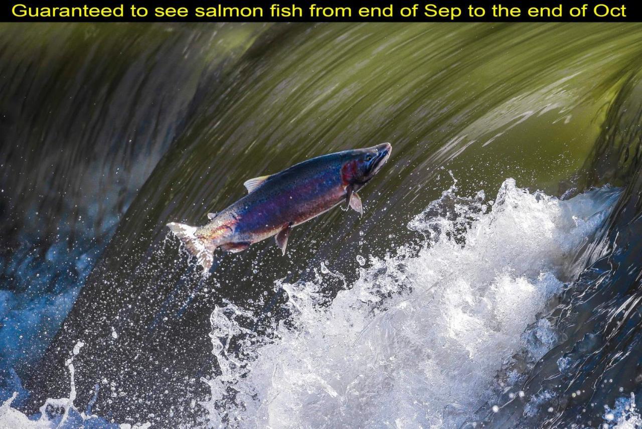 Salmon Magwood Guesthouse Toronto Buitenkant foto